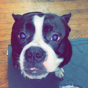 Meet the posher and her pup